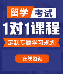 逼逼想男人操啊啊啊网站留学考试一对一精品课